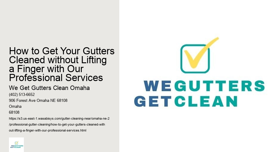 How to Get Your Gutters Cleaned without Lifting a Finger with Our Professional Services