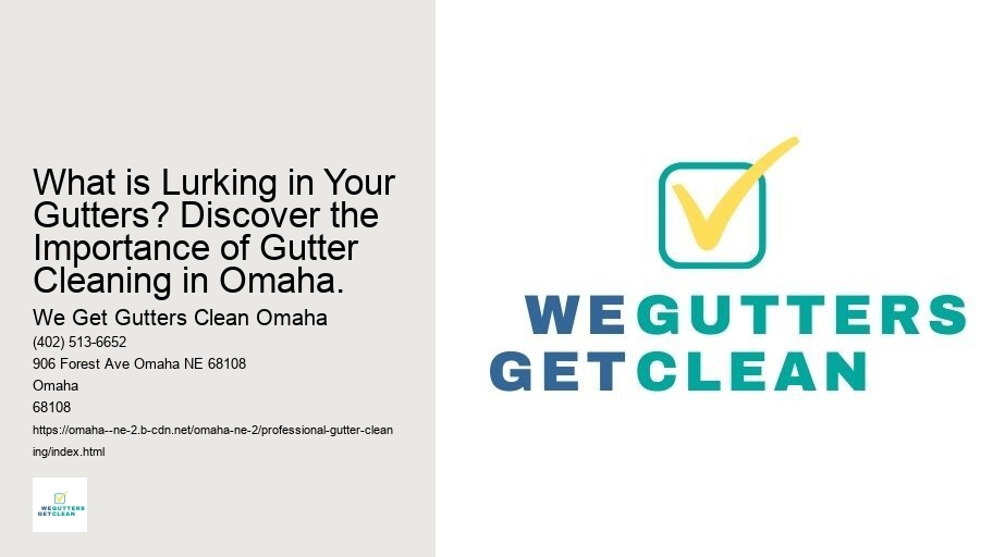 What is Lurking in Your Gutters? Discover the Importance of Gutter Cleaning in Omaha. 