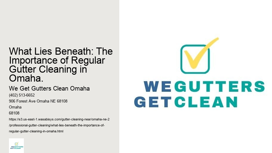 What Lies Beneath: The Importance of Regular Gutter Cleaning in Omaha. 